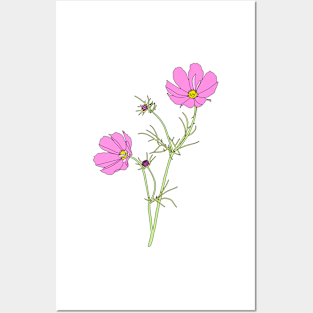 Pink Cosmos Posters and Art